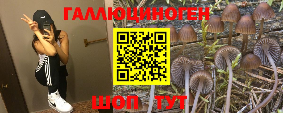 Галлюциногенные грибы мицелий  Вход с VPN  Гурьевск  Псилоцибиновые грибы MAGIC MUSHROOMS 